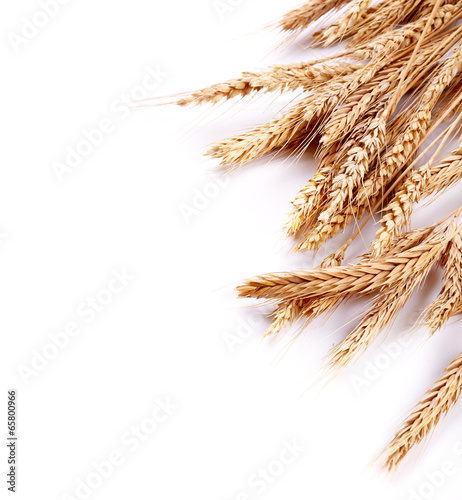 Wheat