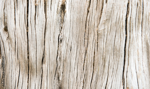 Fototapeta Wooden texture
