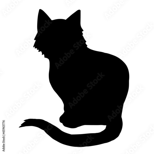 Lacobel cat