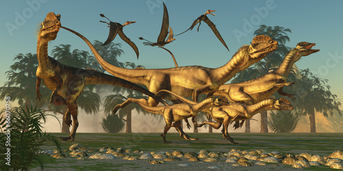 Fototapeta Dilophosaurus Hunt