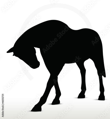 Lacobel horse silhouette in standing still position