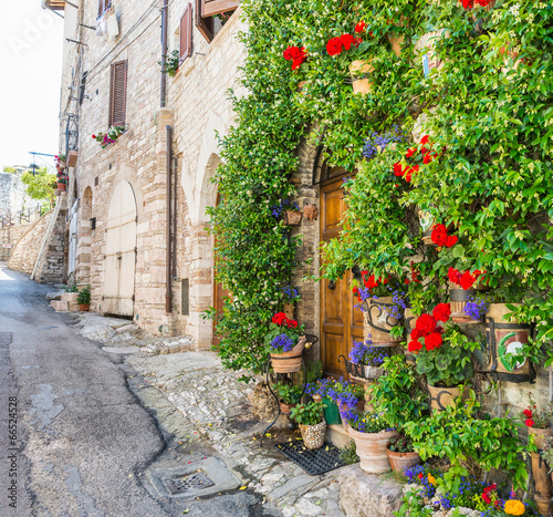 aleja-z-kwiatami-assisi