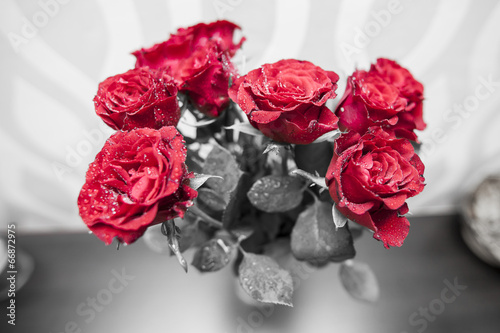 bukiet-kwitnacych-ciemno-czerwone-roze-w-wazonie