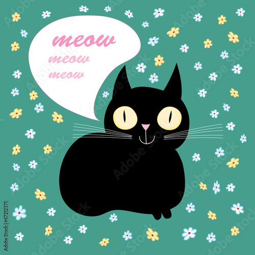 Lacobel funny black cat