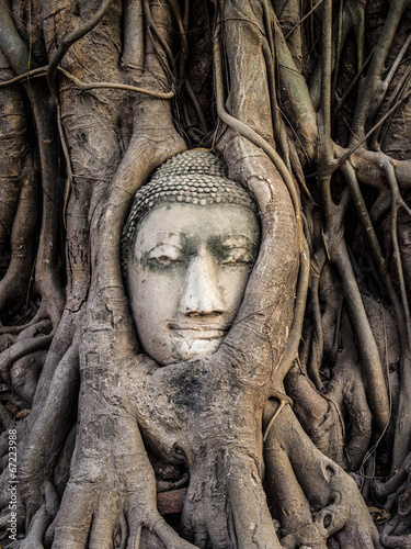 Head of Buddha Statue in the <b>Tree Roots</b>, Ayutthaya, Thailand - 500_F_67223988_9feQmwHnpVOQ1komlH2KtkATAfmPeqTe