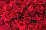 Colorful flower bouquet from red roses for use as background. poster