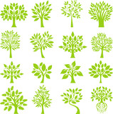 Green Tree set I poster
