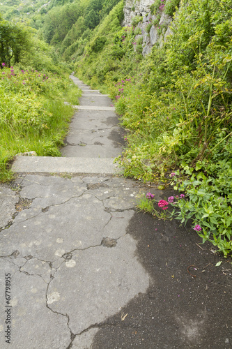 Fototapeta Concrete steps and overgrown downhill path.