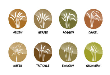 Glutenfreies Mehl und Tortenmischungen für Zöliakieleidende