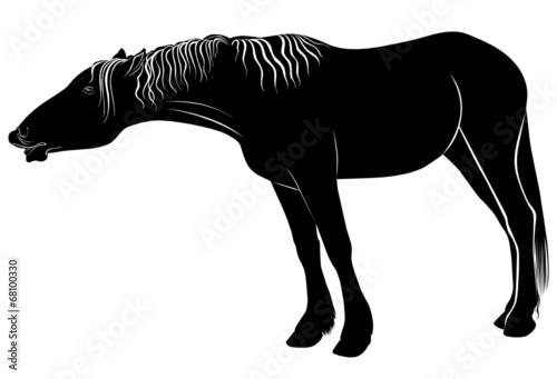 Lacobel horse