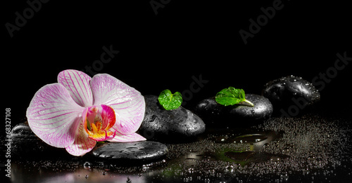  Orchid flower with mint leaves and zen stones on black backgroun