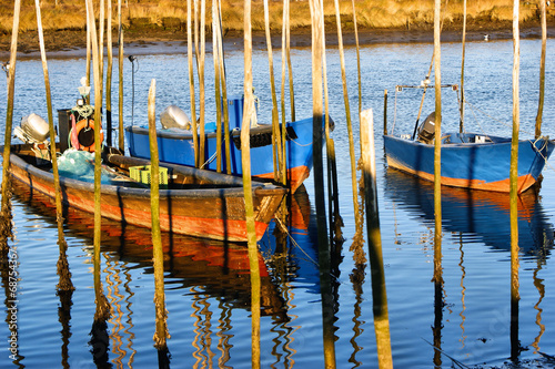 Traditional wooden boats in Lima river, Portugal