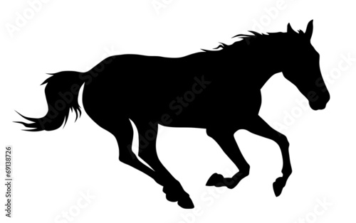 Lacobel Horse