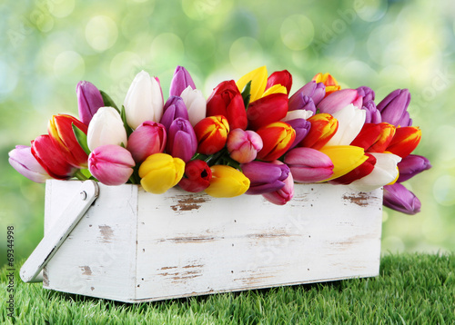 tulips
