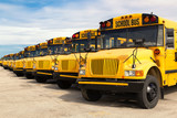 school buses poster