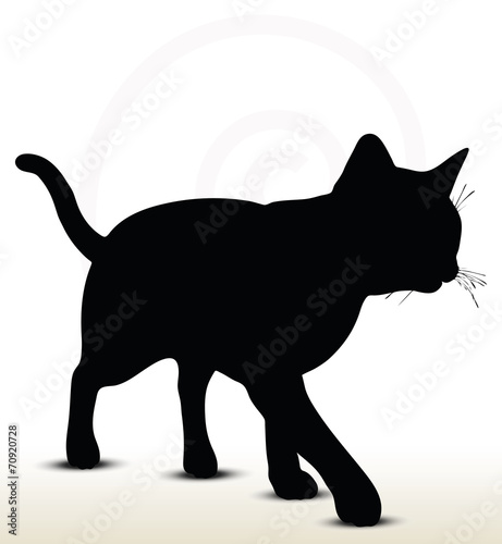 Fototapeta illustration of cat silhouette