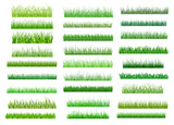 Fresh green spring grass borders poster