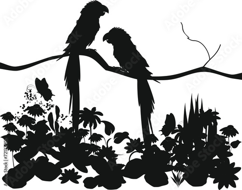 Fototapeta Silhouettes of parrots in the jungle