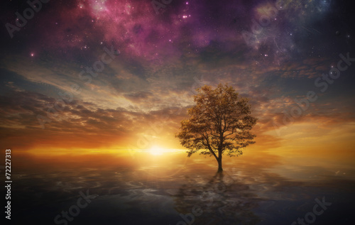 arbre-surrealiste-dans-le-lac