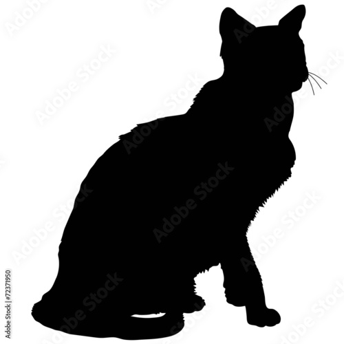 Lacobel cat silhouette 4