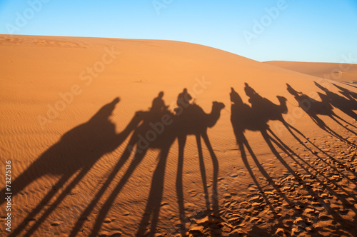 Caravan with tourists in the Sahara. Morocco, Africa
