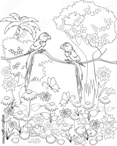 Fototapeta Coloring with parrots on branch