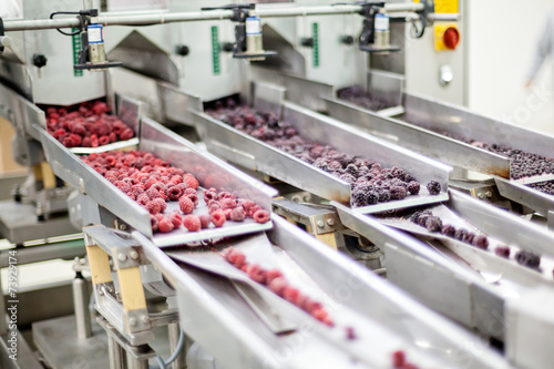 frozen raspberry processing business © vladimirnenezic