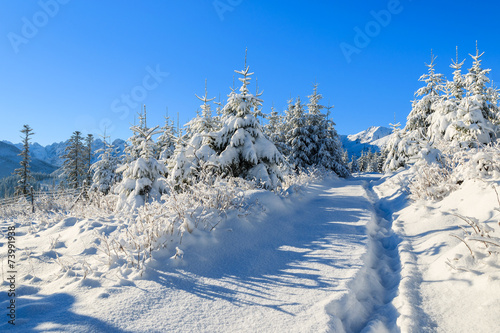  Winter landscape of Rusinowa polana, Tatra Mountains, Poland