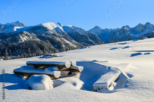 Lacobel Winter landscape of Rusinowa polana, Tatra Mountains, Poland