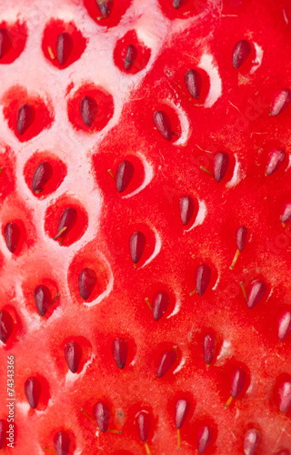 macro strawberry