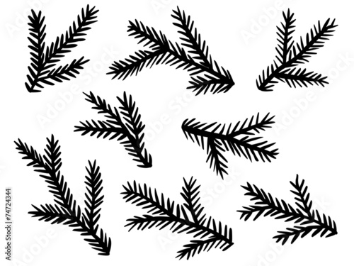 &quot;VektorSet Tannenzweige, Vektor, schwarz, freigestellt