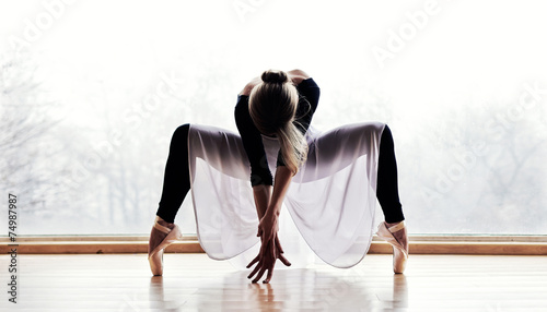 Obraz Fotograficzny Ballet Dancer