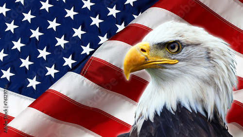 North American Bald Eagle on American flag © stefanoventuri