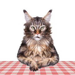 Bilder und Videos suchen: bis: kiono