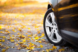 The car on the nature. Wheels and tyres closeup near autumn park poster