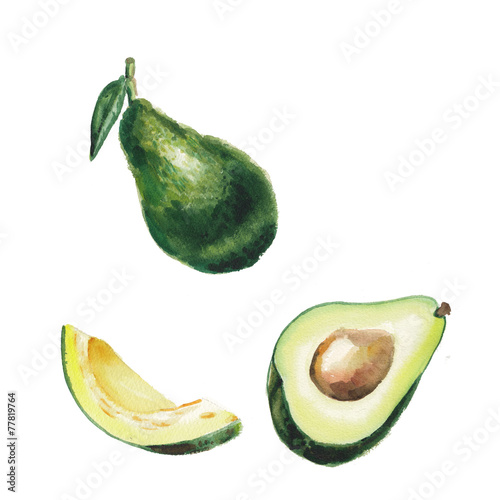 Zdjęcia watercolor avocado set
