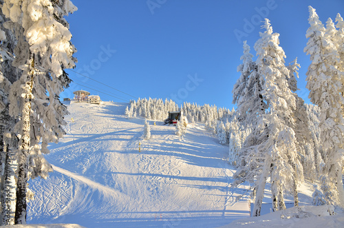 Fototapeta Ski slope in Poiana Brasov Romania in winter