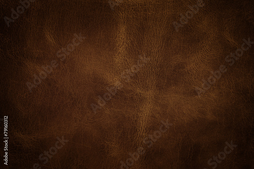 Leather texture closeup © Vitaly Korovin