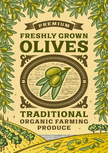  Retro olives poster