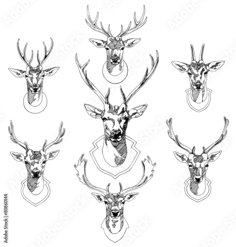Fototapeta Deers Sketch drawing illustration vector.