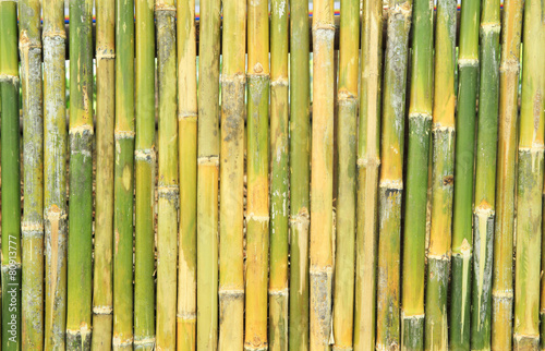 Fototapeta Green bamboo wall texture or background