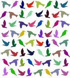 Background with birds.