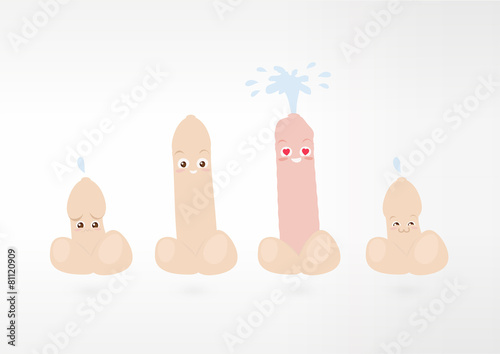 Stages Of The Penis 91