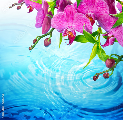 purpurowa-orchidea-na-pluskoczacej-blekitne-wody-swiezosci-pojecie