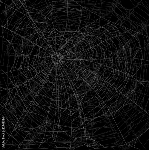 dense gray an white spider web | Buy Photos | AP Images | DetailView