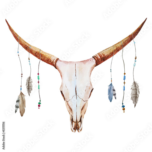  Bull skull watercolor