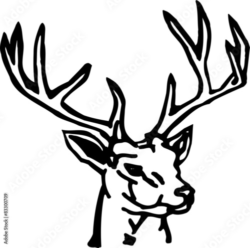 animal-deer