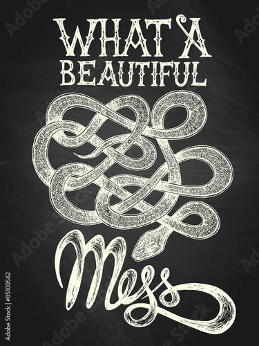 ilustracja-weza-z-quot-co-za-piekny-balagan-quot