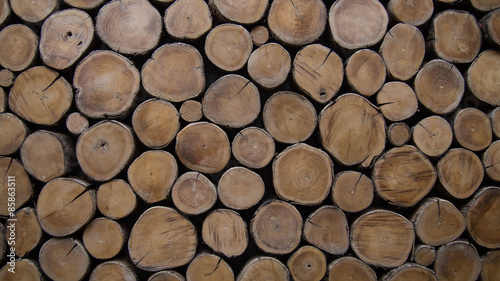 Lacobel background of wood logs