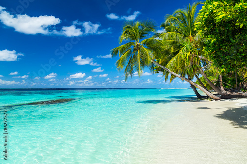 Fotografiet coco palms on tropical paradise beach with turquoise blue water and blue sky